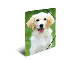 Herma Sammelmappe A3 Hunde polipropilenas (7144)