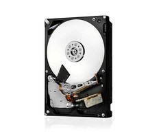 Sandisk Išorinis Kietasis Diskas - Western Digital Ultrastar 22TB SAS Gold