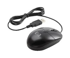Hewlett Packard (HP) HP RH304AA pelė Ambidextrous USB Type-A Optinė