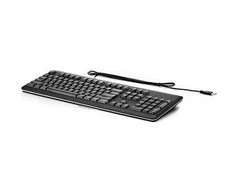 Hewlett Packard (HP) HP USB Standard Klaviatūra - Standard - su laidu - USB - Juodas - Sidabrinis