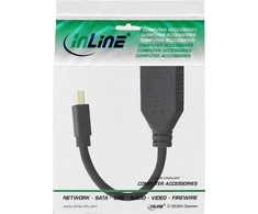AV adapteris InLine Rodyti Port mini - DisplayPort juoda (17150S)