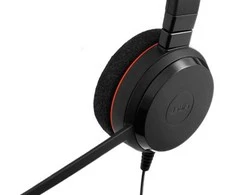 Ausinės Jabra Evolve 20 MS Mono