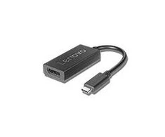 Lenovo | 4X90Q93303 USB-C prie DisplayPort | USB-C į Dp USB-C kištukas | DisplayPort