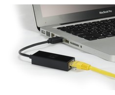 Level One Pirmo lygio USB-0401