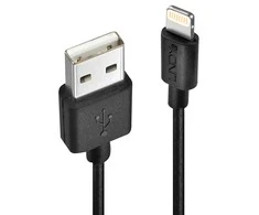 USB Kabelis - LINDY USB Type A į Lightning Laidas, M/M, 480Mbps, 0.5 m, Juodas