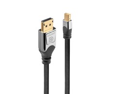 Kabelis Lindy Rodyti Port Mini - 3m sidabro (36313)
