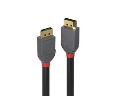 Lindy DisplayPort kabelis. M/M. Antracito linijos. 2,0 m.