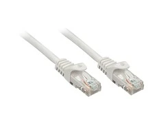 Tinklo kabelis - LINDY 1m Cat.5e U/UTP 100MHz RJ45 M Pilkas