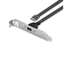 Kabelis USB Lindy USB-C - USB-C 0.45 m Juodas (33118)