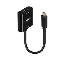 Adapteris - LINDY USB Type C į DisplayPort 4k144 Konverteris, Juodas