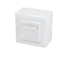 LogiLink LogiLink CAT 6A paviršius ir įleidžiama dėžutė, visiškai ekranuota RAL 9003 - NP0126