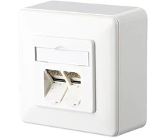 METZ CONNECT E-DAT C6 2 prievadas AP grynai baltas