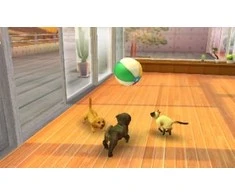 „Nintendogs and Cats 3D“: prancūzų buldogas (pasirinktas) – „Nintendo 3DS“