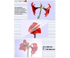 Olympia Olympia laminavimo plėvelės DIN A3, 50 vnt 80 mic