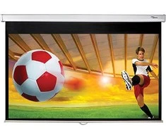 Projektoriaus ekranas Optoma DS-9092PWC 92''[200x113]