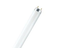 Osram 36W lempa LUMILUX T8, G13, 3000K, 1213,6mm