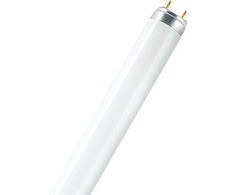 Osram 36W lempa LUMILUX T8, G13, 3000K, 1213,6mm