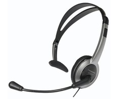 PANASONIC RP-TCA430E-S ausinės su mikrofonu,