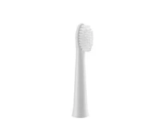 Panasonic dantų šepetėlio galvutė WEW0972W503, 2vnt, baltos spalvos