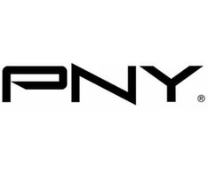 PNY uchwyt do Vaizdo plokštė NVIDIA Quadro NVS 290, niski profil (QSP-LPBRA290)