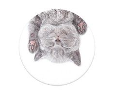 Popsockets 2 Cat Nap 800947 telefono laikiklis - standard