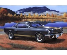 Revell – Shelby Mustang GT 350 H, 1/24, 07242