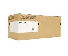 Ricoh 418135 MAINTENANCE KIT P 501
