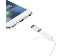 SBS Type-C adapteris