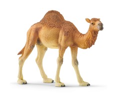 Schleich figūrėlė Vienkupris kupranugaris