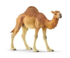 Schleich figūrėlė Vienkupris kupranugaris