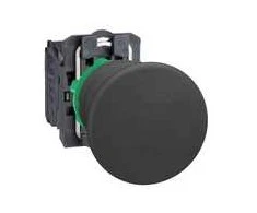 Schneider Electric PRZYCISK XB5AC21