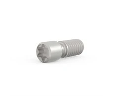 SCHROFF Śruba ustalająca SCHROFF, nerūdijantis plienas, M2.5 x 9, Torx 8