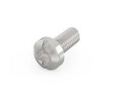 SCHROFF SCHROFF cilindro galvutės varžtas, Torx, cinkuotas plienas, savaime užsifiksuojantis sriegis, M2,5 x 6 mm
