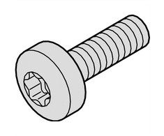 SCHROFF SCHROFF lizdo galvutės varžtas, Torx, M4 x 10, 100 vnt.