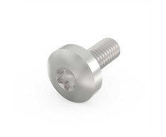 SCHROFF SCHROFF Sraigtas su lizdu, Torx, GND funkcija, cinkuotas plienas, M4 10 mm, 100 vnt.