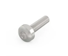 SCHROFF SCHROFF Sraigtas su lizdu, Torx, nikeliuotas plienas, M2,5 x 12 mm