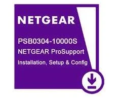 Serveris NETGEAR NETGEAR profesionalus diegimas, sąranka ir konfigūracija. Nuotolinės prieigos paslauga, skirta „ReadyNAS“ / „ReadyDATA“ / valdomiems komutatoriams. Elektroninė licencija.