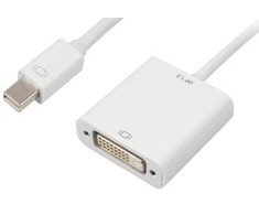 AV adapteris Sharkoon DisplayPort Mini – DVI-D, baltas (4044951017386)