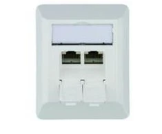 Telegärtner box AMJ45 8/8 K AP/50 Cat.6A Alpine baltas