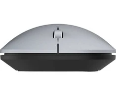 Wortmann TERRA Pelė NBM1000S wireless BT sidabrinis
