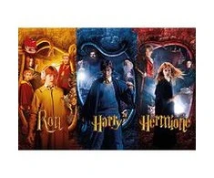 Sd Toys Wizarding World Dėlionė 50 HARRY POTTER RON HERMIONA