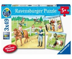 Ravensburger Dėlionė 3x49 vnt. - Arkliai