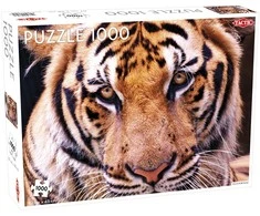 Dėlionė Tactic Puzzle 1000 vnt Tigro portretas