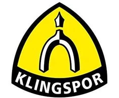 Šlifavimo juosta KLINGSPOR LS 309 XH 100x610mm P 60