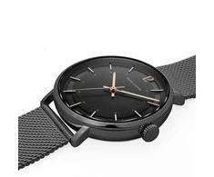 Laikrodis Pierre Lannier Gaius 205J439