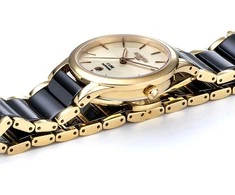 Laikrodis Roamer C-Line Ladies 658844 48 35 61
