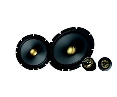 Pioneer TS-A1601C