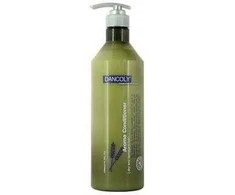 Angel Professional Kondicionierius pažeistiems plaukams Dancoly Aroma Conditioner Dry and Damaged Hair 1000ml