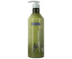Angel Professional Kondicionierius pažeistiems plaukams Dancoly Aroma Conditioner Dry and Damaged Hair 1000ml