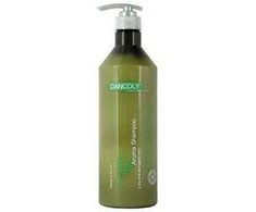 Angel Professional Šampūnas sausiems ir pažeistiems plaukams Dancoly Aroma Šampūnas Dry and Damaged Hair 1000 ml